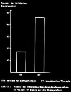 Fig. 5Note the significant difference in the developement of disfiguring scars in burn wounds with conventional treatment and with primary dressing with MEDISKIN, depending on the rate of infection.