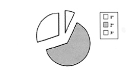 Fig. 5 Depth of burn.<br>&nbsp