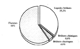 Fig. 1 R�partition selon l�agent causal.