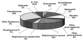 Fig. 1 Intensive care unit: percentage distribution of infections out of a total number of 276 germs isolated
