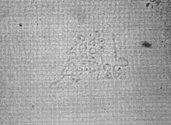 Fig. 4a
