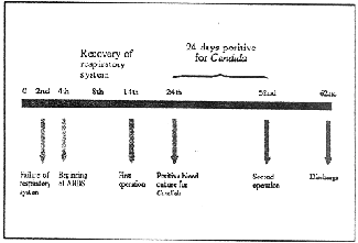 Fig. 5Patient's progress.