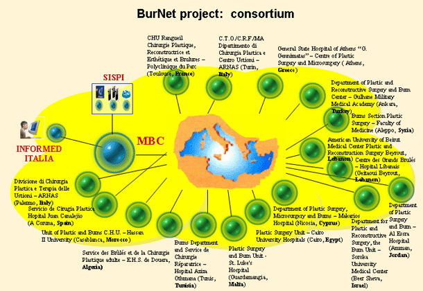 Fig. 1Geographical distribution of the Consortium partners.