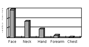 Fig. 2Sites of body burned.
