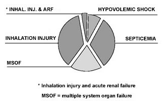 Fig. 4Cause of death