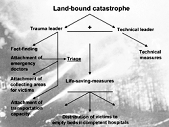 Fig. 2Land-bound catastrophes.