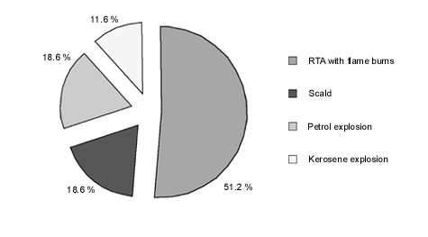 Fig. 1Aetiology of burn wounds (RTA = road traffic accidents).
