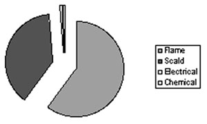 Fig. 1Sources of burn injury.
