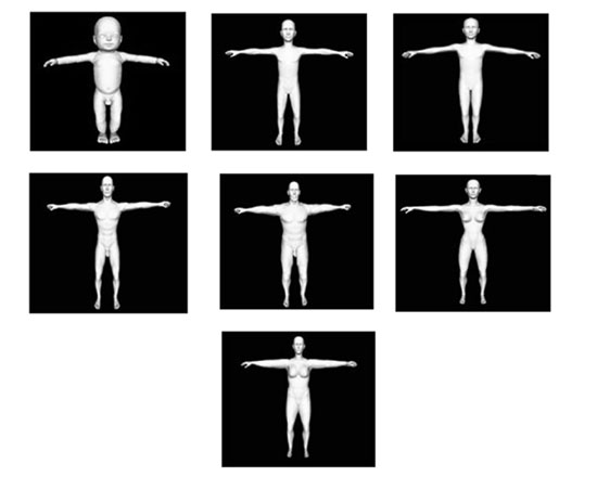 Fig. 1Standard model library of BurnCase 3D Core.