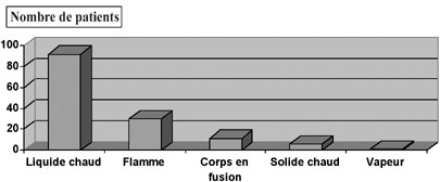 Fig. 3R�partition des br�lures thermiques selon l�agent causal.