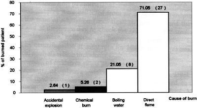 Fig. 4Distribution of causes of burn.