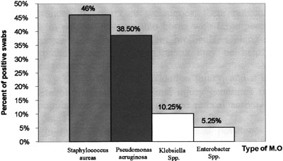Fig. 5Distribution of micro-organism types in positive swabs isolated from burn patients.