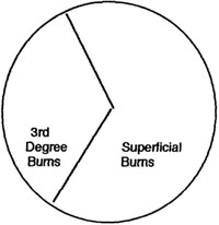 Fig. 3Depth of burns