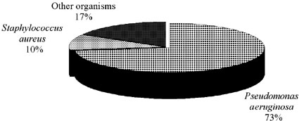 Fig. 1Frequency of the isolated bacterial strains.