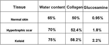Table IIBiochemical composition of scars