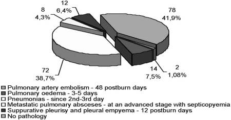 Fig. 2Characteristics of morphological and traumatic pulmonary alterations in deceased burn patients.