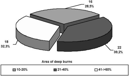 Fig. 13Characteristics of patients with nervous injuries caused by burns.