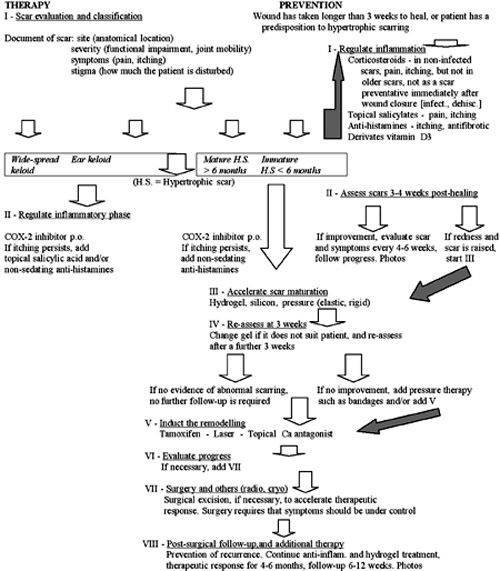 Chart Keloid and hypertrophic scar management (by A. Edriss, based on scientific and clinical experience, but requiring a greater number of patients, long-time follow-up, and photographic documentation)