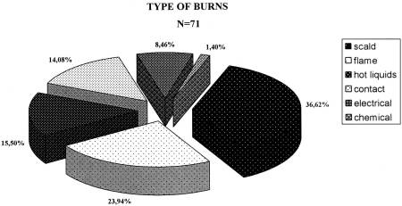 Fig. 2Type of burn.