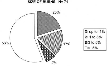 Fig. 3Size of burn.