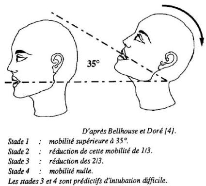 Fig. 5Mobilit� du rachis cervical.