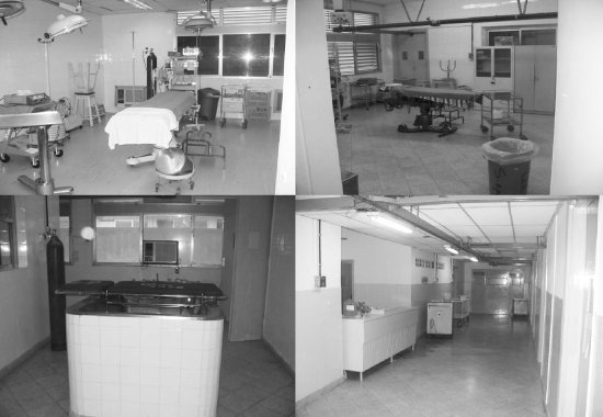 Fig. 8Plastic Surgery, Reconstruction, and Burns Service (Instituto de Previsi�n Social).