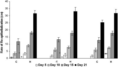 Fig. 1Rate of re-epithelialization in LMWH and control patients. Progression of wound edge from advancing edge expressed as mean value in cm ± standard error of mean (mean ± SEM). * Wounds in these patients (n = 4) took more than 28 days to heal completely