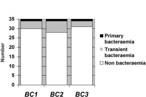Fig. 1Blood cultires.