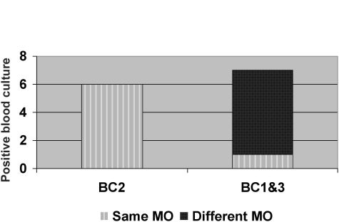 Fig. 2Conocrdance between MO isolated in blood and eschar.