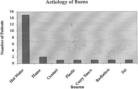 Fig. 1Aetiology of burns.
