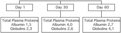 Table III Patient�s nutritional status