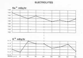 gr0000020.jpg (7458 byte)