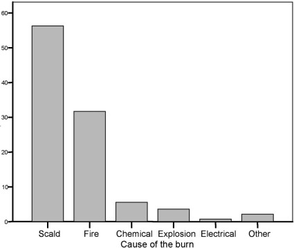 Fig. 2Cause of the burns in 558 patients hospitalized for burns
