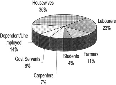 Fig. 2Occupation of patients.