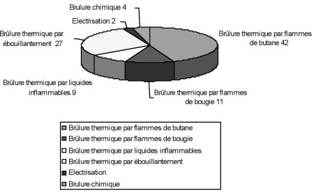 Fig. 1Les m�canismes de la br�lure