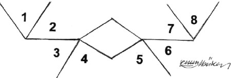 Fig. 3Pre-operative drawing