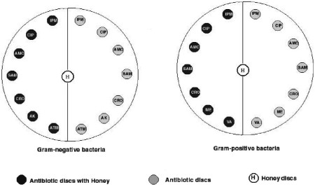 Fig. 1The discs used.