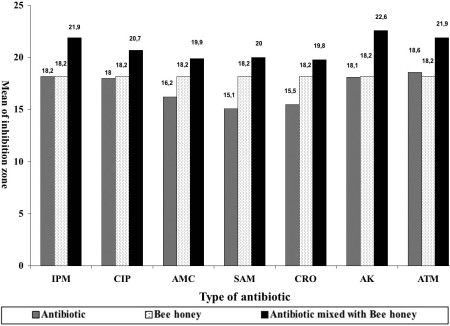 Fig. 2Inhibitory zones in cm of antibiotics, bee honey, and a combination of both on 21 isolated gram-negative bacilli: comparative study.