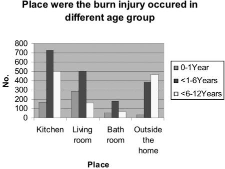 Fig. 2Place of accident in the various age groups.