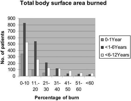 Fig. 3Burn extent.