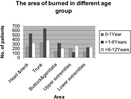 Fig. 4Body areas burned.