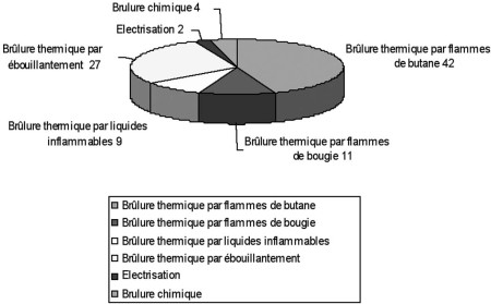 Fig. 1Les m�canismes de la br�lure