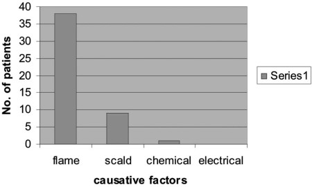 Fig. 3Causative factors of the burn injury.