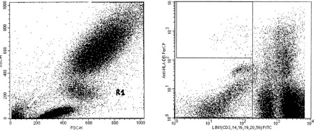 Fig. 1The gating strategy used to identify LIN� DR+ cells. Peri-pheral blood mononuclear cells obtained from patients and healthy subjects were stained with a lineage cocktail of FITC-conjugated MoAb (CD3, CD14, CD19, CD20, and CD56) plus a PerCP-conjugated anti-HLA DR MoAb. Cells in the lymphocyte-monocyte light scatter gate (A) were evaluated for expression of lineage markers LIN (FL-1) and DR (FL-2; B).