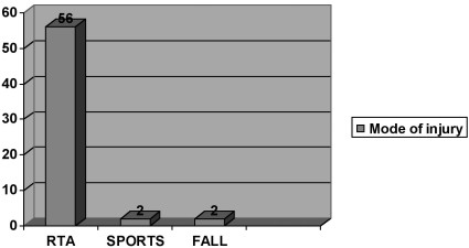 Fig. 1Mode of injury.