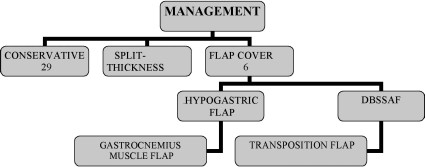 Fig. 3Treatment of friction burn