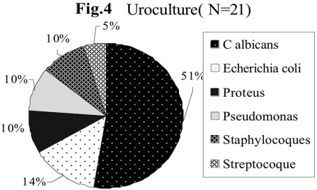Fig. 4 Uroculture (N=21).