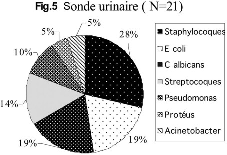Fig. 5 Sonde urinaire (N=21).