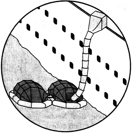 Fig. 3Evacuation. In the event of a disaster, the 2500 passengers and 646 crew leave the ship in groups. Lifeboats and Viking rescue aisles are available and can be reached by emergency slides. The capacity of the lifeboats and the rescue aisles is always 25% above the number of persons aboard ship.
