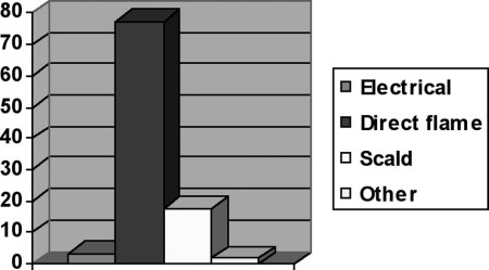 Fig. 1Causes of burns treated in the burns unit.